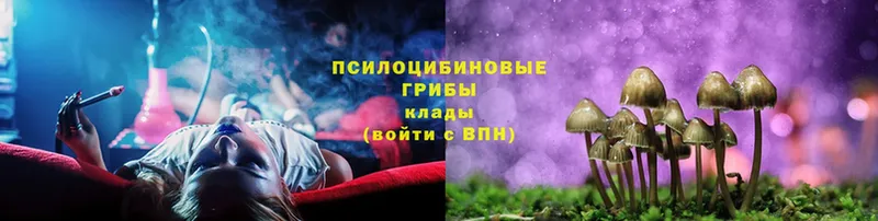 Галлюциногенные грибы мицелий  Лянтор 